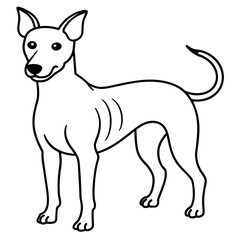      Dog vector illustration.
