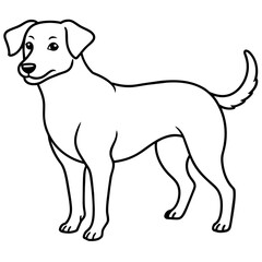      Dog vector illustration.
