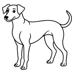      Dog vector illustration.
