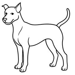      Dog vector illustration.
