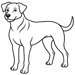      Dog vector illustration.
