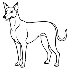      Dog vector illustration.
