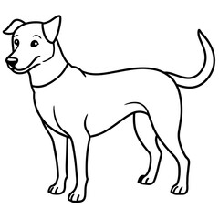      Dog vector illustration.

