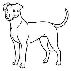      Dog vector illustration.
