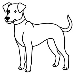      Dog vector illustration.
