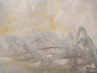 macro photo of frozen frozen ice on the ice