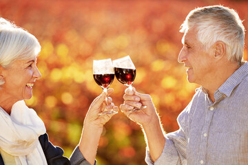 Love, senior or happy couple toast in park for celebration on holiday vacation for bonding in...