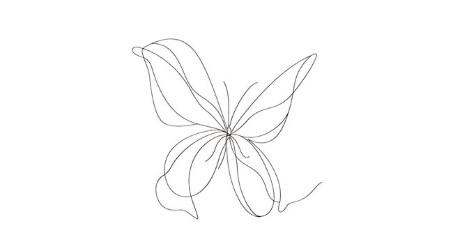  minimalist one line drawing of flower petal butterfly, white background, minimalistic