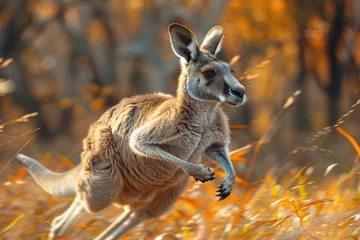 Rolgordijnen Energetic image of a kangaroo in motion with a blurred background © Veniamin Kraskov