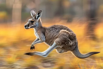 Foto auf Acrylglas Antireflex Energetic image of a kangaroo in motion with a blurred background © Veniamin Kraskov