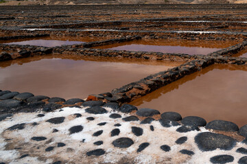 A field of dirt with a few rocks and a few small ponds. The ponds are filled with water and the...