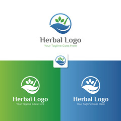 Herbal logo or pharmacy logo template design. Natural logo with gradient green leaves