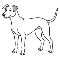      Dog vector illustration.
