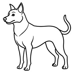      Dog vector illustration.
