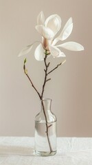 magnolia still life