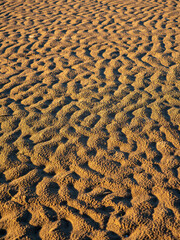 Sandy Beach Texture After Tide