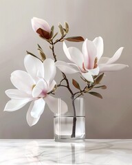 magnolia in a vase