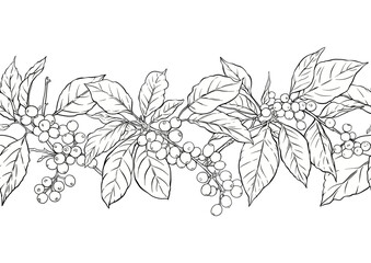 Coffee tree. Branch with leaves and berries. Seamless pattern, background. Outline hand drawing vector illustration. In botanical style - 783065038