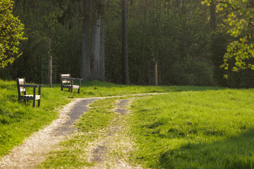Park Benches and Trees Scenery on a Sunny Spring Day in Austria Europe