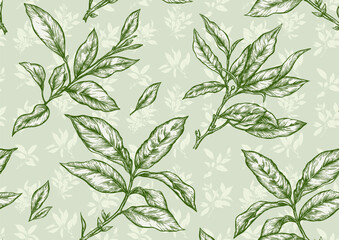 Branch with leaves of green tea. Seamless pattern, background. Vector illustration. In botanical style