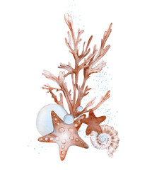 Obraz premium Composition with seaweed corals shells and starfish. Watercolor illustration hand drawn on a white background. Template for cards, invitations and packaging design. 