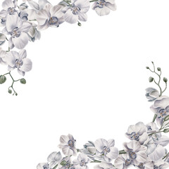 White orchid flowers in the composition of the corner frame to decorate your themed printables. Tropical plants. Watercolor illustration. For invitations, weddings, birthdays, beach party.