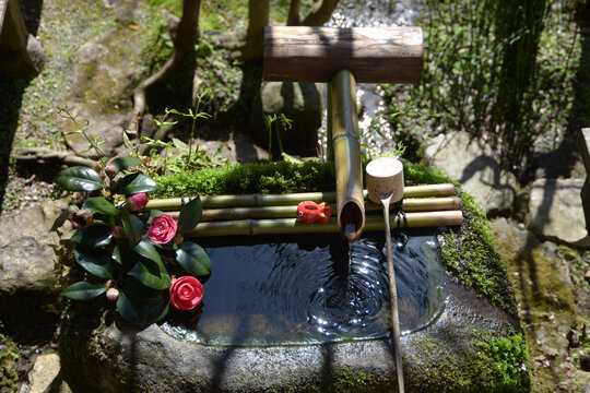 宝泉院　鶴亀庭園の手水鉢　京都市左京区大原