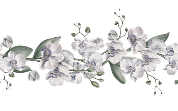 White orchid flowers seamless banner to decorate your themed printables. Tropical plants. Watercolor illustration. For invitations, weddings, birthdays, beach party.