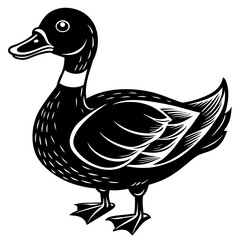 duck illustration
