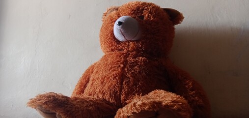 Brown teddy bear doll photos