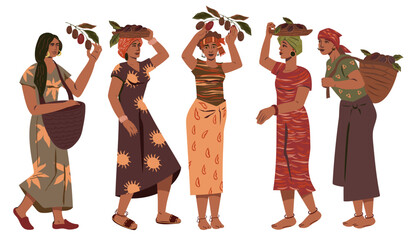 Group of women with coffee beans in baskets, vector illustration isolated on a white background. Women farmers picking coffee on plantation.
