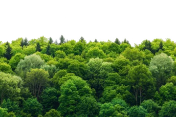 Fotobehang A forest of trees with varying shades of green, creating a sense of depth and dimension. © Only PNG