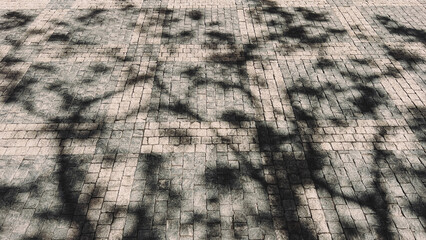 Prague paving stones, tiled path on sidewalks, shadows from trees on a sunny day