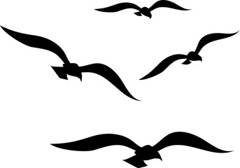 set of birds silhouette