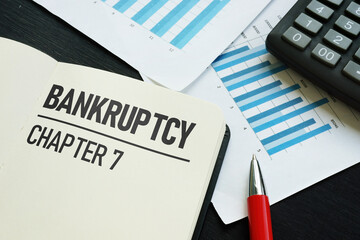 Bankruptcy chapter 7 is shown using the text