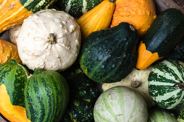 Colorful decorative pumpkins background. Autumn harvest. - 783085693