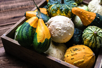 Fresh pumpkins in the box on wooden background. Farmer market with decorative vegetables. Autumn harvest and Thanksgiving concept. - 783085831