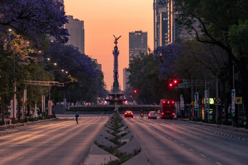 Mexico City, CDMX, Mexico - Sunrise on the Paseo de Reforma looking down at the Angel of Independence   