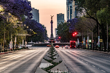 Mexico City, CDMX, Mexico - Sunrise on the Paseo de Reforma looking down at the Angel of...