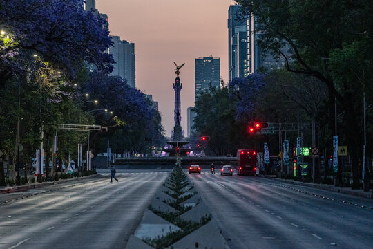 Mexico City, CDMX, Mexico - Sunrise on the Paseo de Reforma looking down at the Angel of Independence   