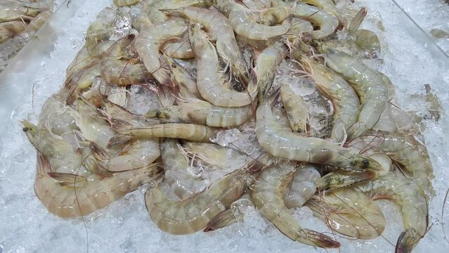 Fresh shrimp are frozen. to use for cooking