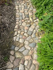 stone path in the garden 