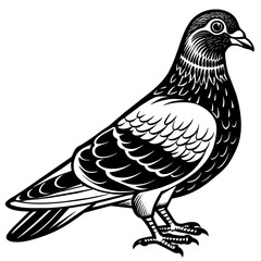 pigeon silhouette vector art illustration
