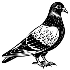 pigeon silhouette vector art illustration
