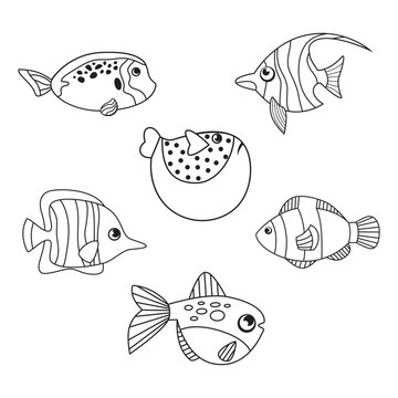 set of fish images in simple linear style, black and white graphics. Cartoon image of fish to illustrate children benefits