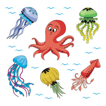 Set of marine animals highlighted on white. Octopus, jellyfish, squid. illustration in the style of cartoon.