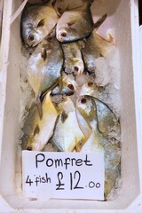 Pomfret price at fish market - 783095421