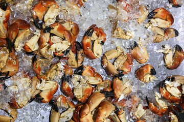 Crab claws at Billingsgate Fish Market - 783095443