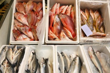 London Billingsgate Fish Market - 783095454