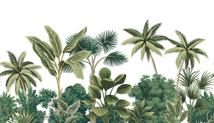Tropical vintage botanical palm trees, banana tree, green plants floral seamless border white background. Exotic jungle wallpaper.	 - 783096090